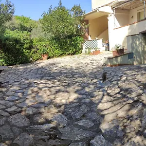 Bilocale A Due Passi Dal Mare Immerso Nel Castiglioncello